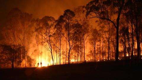 Bank Mismanagement of Climate Risks Poses Extinction Threat