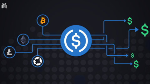 Opportunities and Hurdles of Central Bank Digital Currencies (CBDCs)