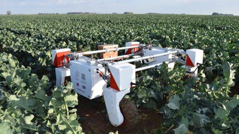 Barclays Unveils Eagle Lab Farm to Enhance UK Agriculture