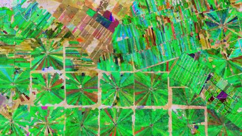 Leveraging Real-Time Climate Change Data to Mitigate Risks